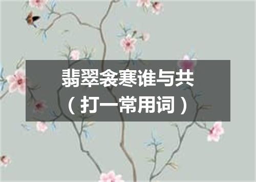 翡翠衾寒谁与共（打一常用词）