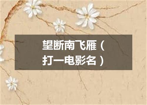 望断南飞雁（打一电影名）