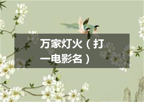 万家灯火（打一电影名）