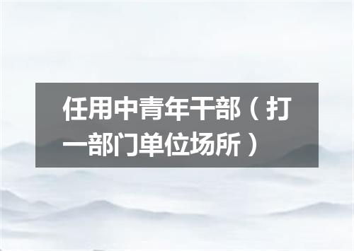 任用中青年干部（打一部门单位场所）