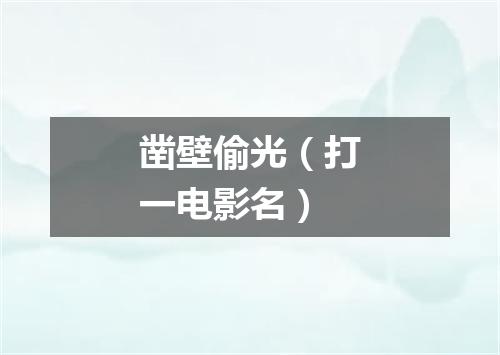 凿壁偷光（打一电影名）
