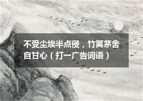 不受尘埃半点侵，竹篱茅舍自甘心（打一广告词语）