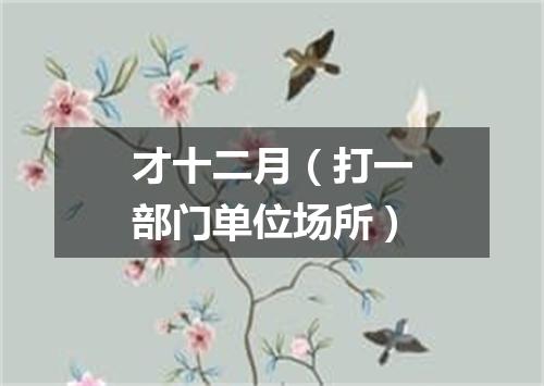才十二月（打一部门单位场所）