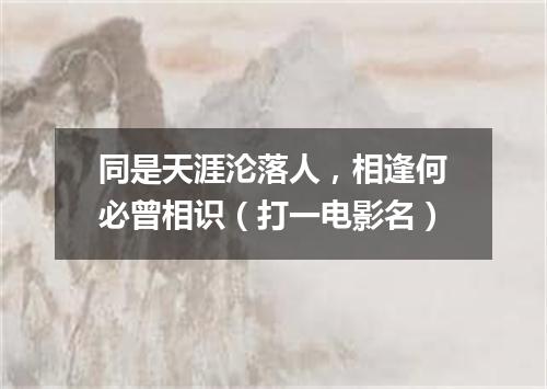 同是天涯沦落人，相逢何必曾相识（打一电影名）