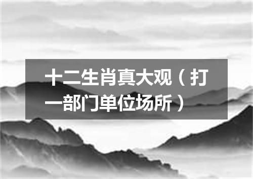 十二生肖真大观（打一部门单位场所）