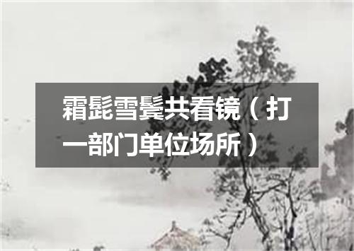 霜髭雪鬓共看镜（打一部门单位场所）