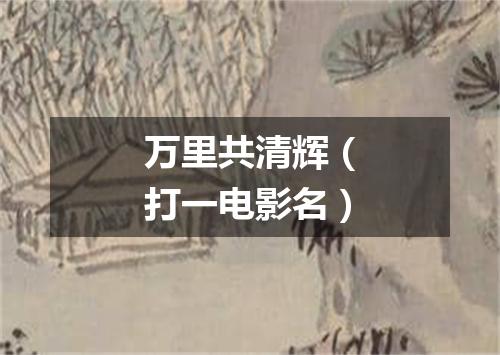 万里共清辉（打一电影名）