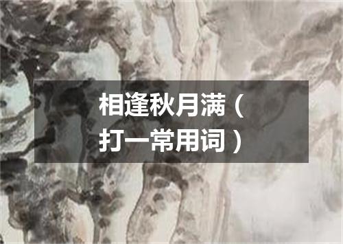 相逢秋月满（打一常用词）