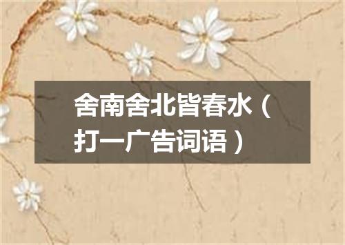 舍南舍北皆春水（打一广告词语）
