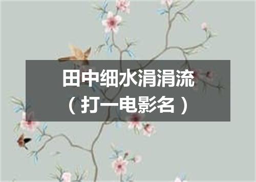 田中细水涓涓流（打一电影名）