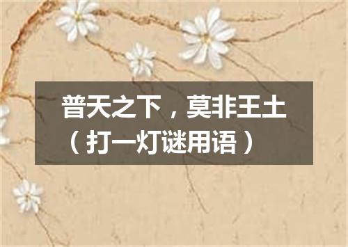 普天之下，莫非王土（打一灯谜用语）