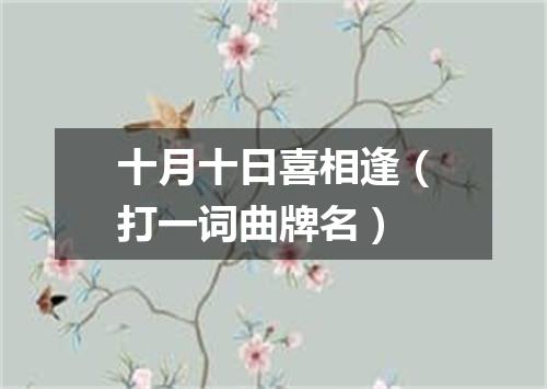 十月十日喜相逢（打一词曲牌名）