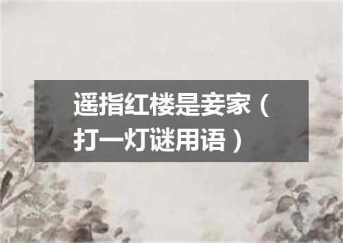遥指红楼是妾家（打一灯谜用语）