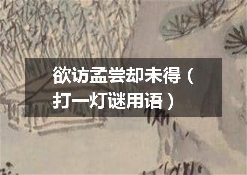 欲访孟尝却未得（打一灯谜用语）