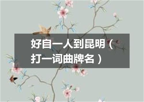 好自一人到昆明（打一词曲牌名）