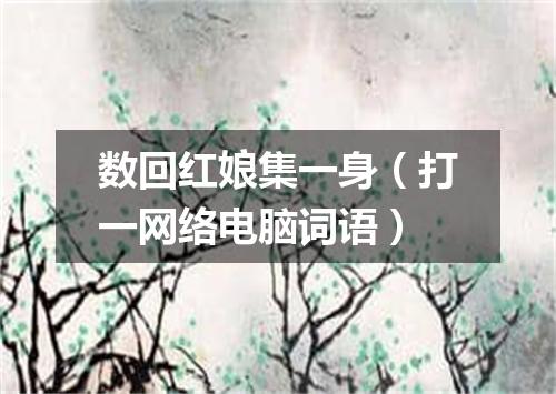 数回红娘集一身（打一网络电脑词语）