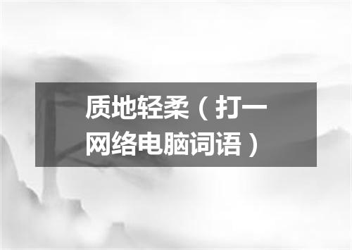 质地轻柔（打一网络电脑词语）