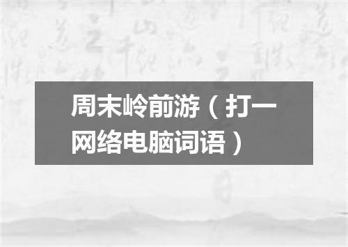 周末岭前游（打一网络电脑词语）