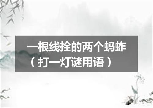 一根线拴的两个蚂蚱（打一灯谜用语）