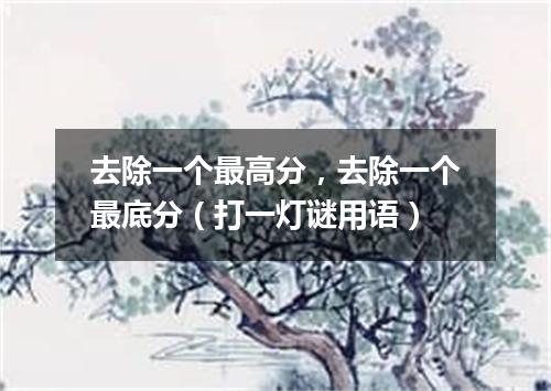 去除一个最高分，去除一个最底分（打一灯谜用语）