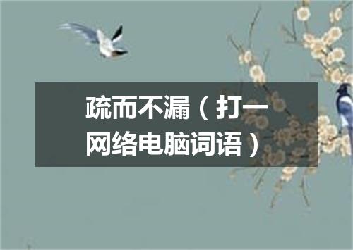 疏而不漏（打一网络电脑词语）