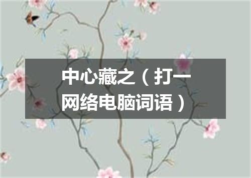 中心藏之（打一网络电脑词语）