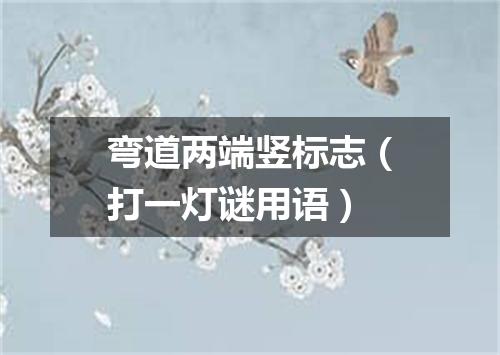 弯道两端竖标志（打一灯谜用语）
