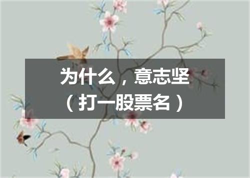 为什么，意志坚（打一股票名）
