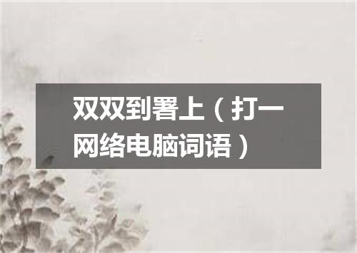 双双到署上（打一网络电脑词语）