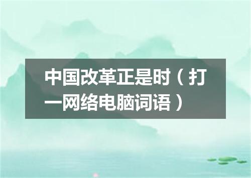 中国改革正是时（打一网络电脑词语）