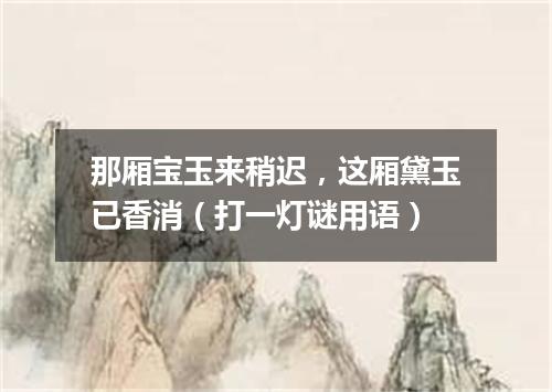 那厢宝玉来稍迟，这厢黛玉已香消（打一灯谜用语）