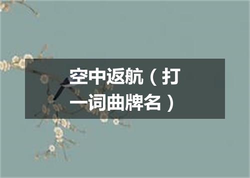 空中返航（打一词曲牌名）