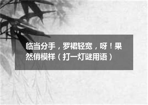 临当分手，罗裙轻宽，呀！果然俏模样（打一灯谜用语）