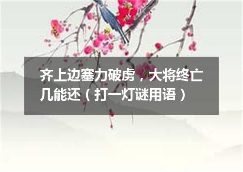 齐上边塞力破虏，大将终亡几能还（打一灯谜用语）