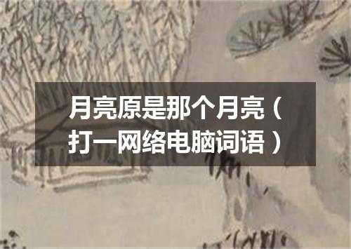 月亮原是那个月亮（打一网络电脑词语）