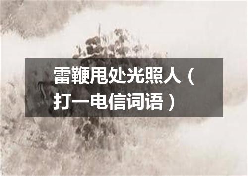 雷鞭甩处光照人（打一电信词语）