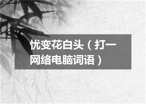 忧变花白头（打一网络电脑词语）