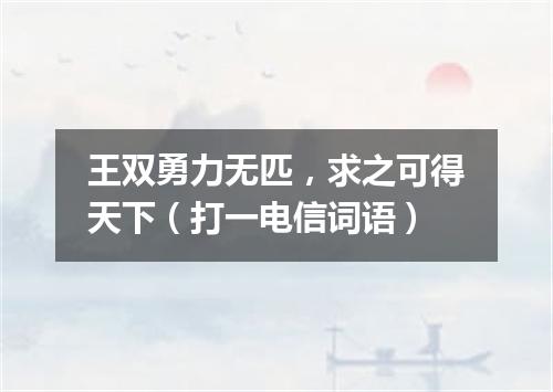王双勇力无匹，求之可得天下（打一电信词语）