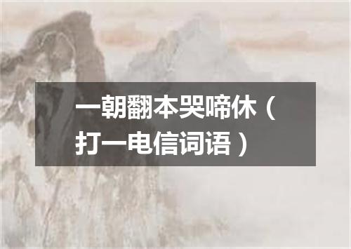 一朝翻本哭啼休（打一电信词语）