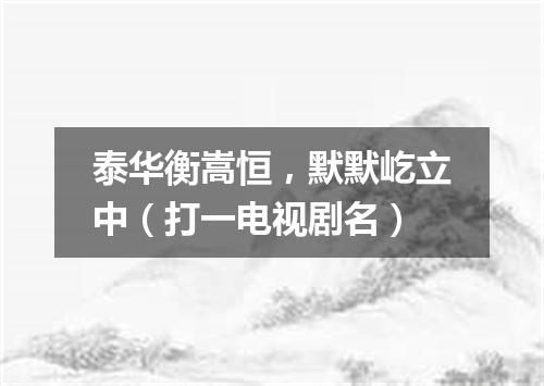 泰华衡嵩恒，默默屹立中（打一电视剧名）