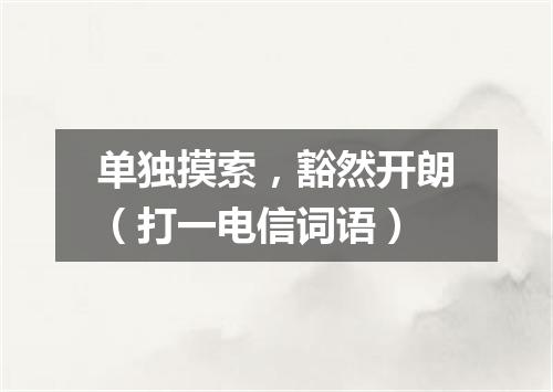 单独摸索，豁然开朗（打一电信词语）