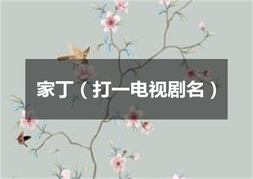 家丁（打一电视剧名）