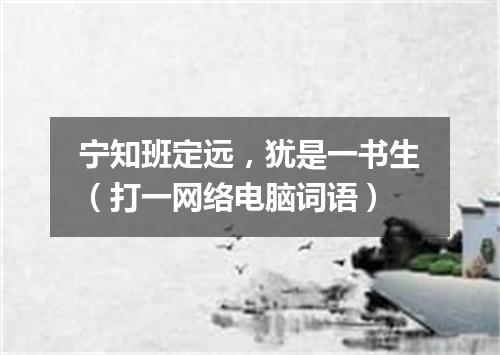 宁知班定远，犹是一书生（打一网络电脑词语）