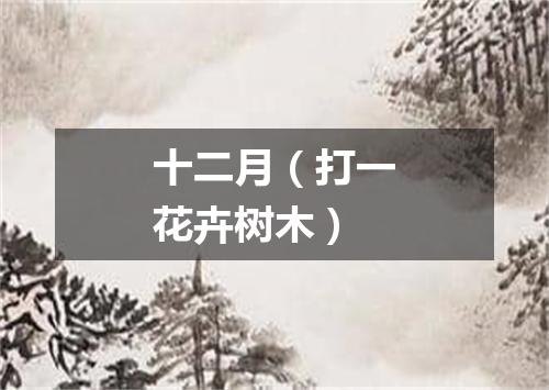 十二月（打一花卉树木）