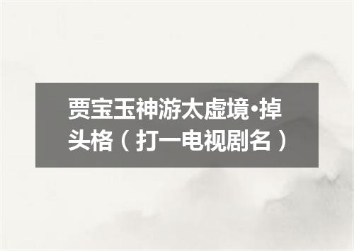 贾宝玉神游太虚境·掉头格（打一电视剧名）