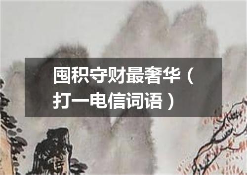 囤积守财最奢华（打一电信词语）