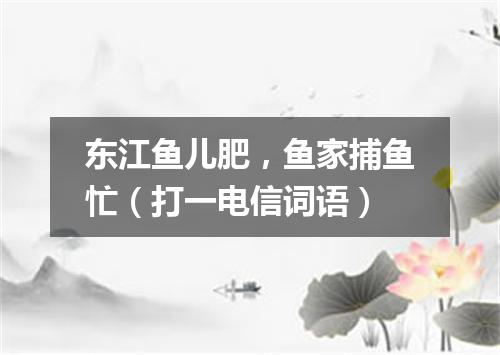东江鱼儿肥，鱼家捕鱼忙（打一电信词语）