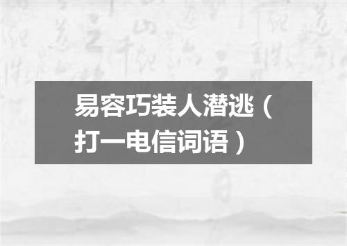 易容巧装人潜逃（打一电信词语）