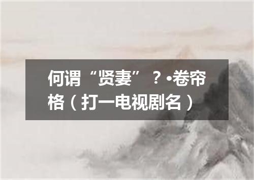 何谓“贤妻”？·卷帘格（打一电视剧名）