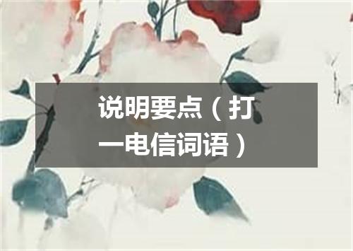 说明要点（打一电信词语）